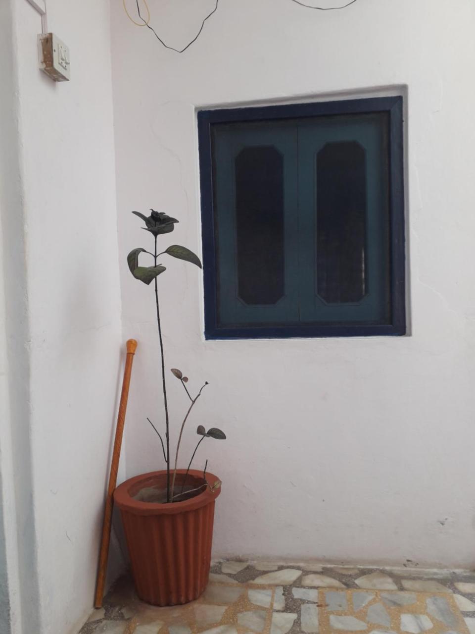 Rajguru Guest House Pushkar Bagian luar foto